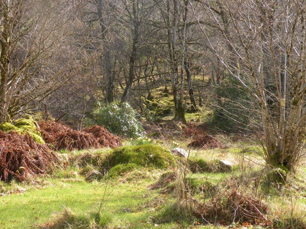 Mchugh And Loudon Cottages Saint Catherines Esterno foto