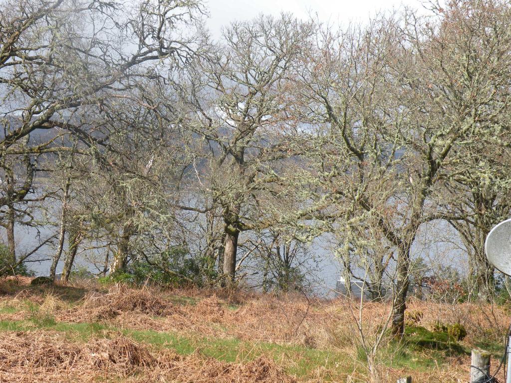 Mchugh And Loudon Cottages Saint Catherines Esterno foto