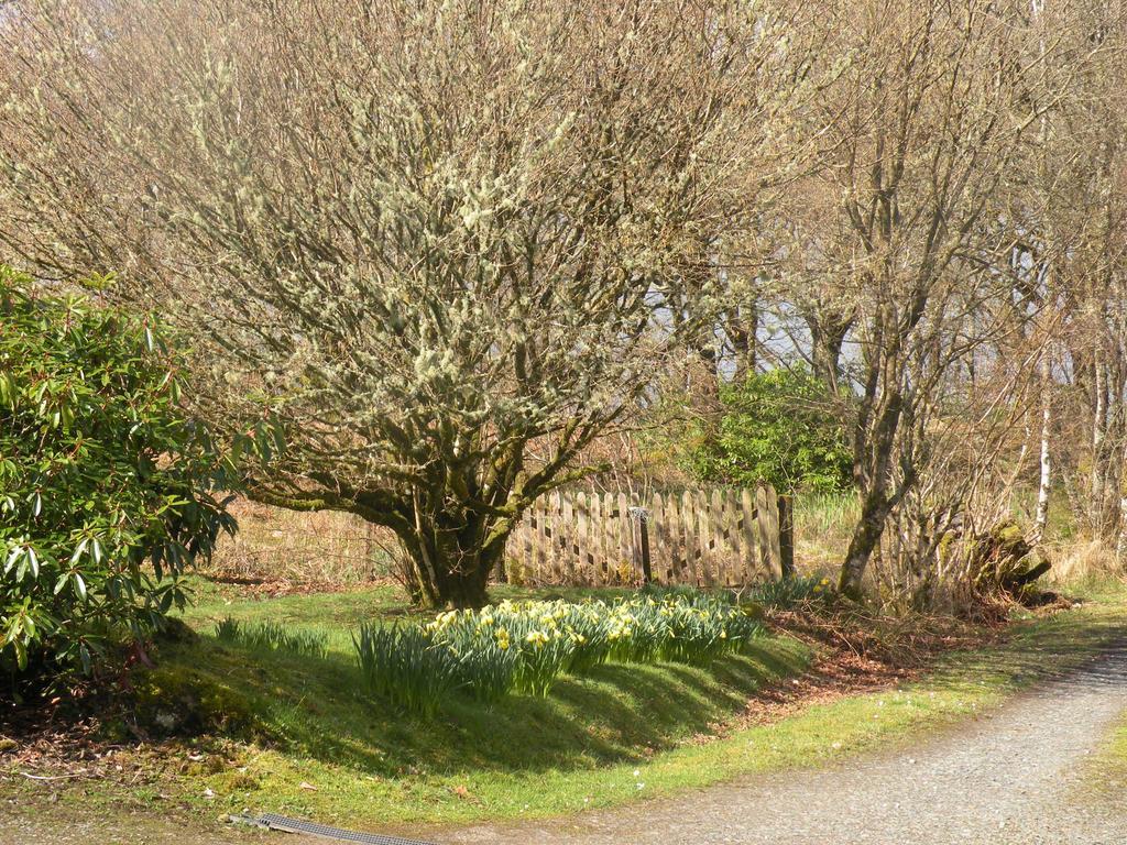 Mchugh And Loudon Cottages Saint Catherines Esterno foto